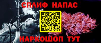 сатива Будённовск