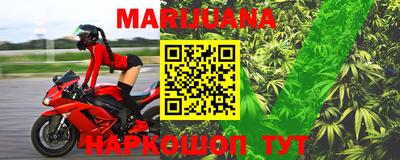 сатива Будённовск