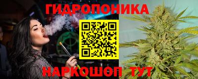 сатива Будённовск