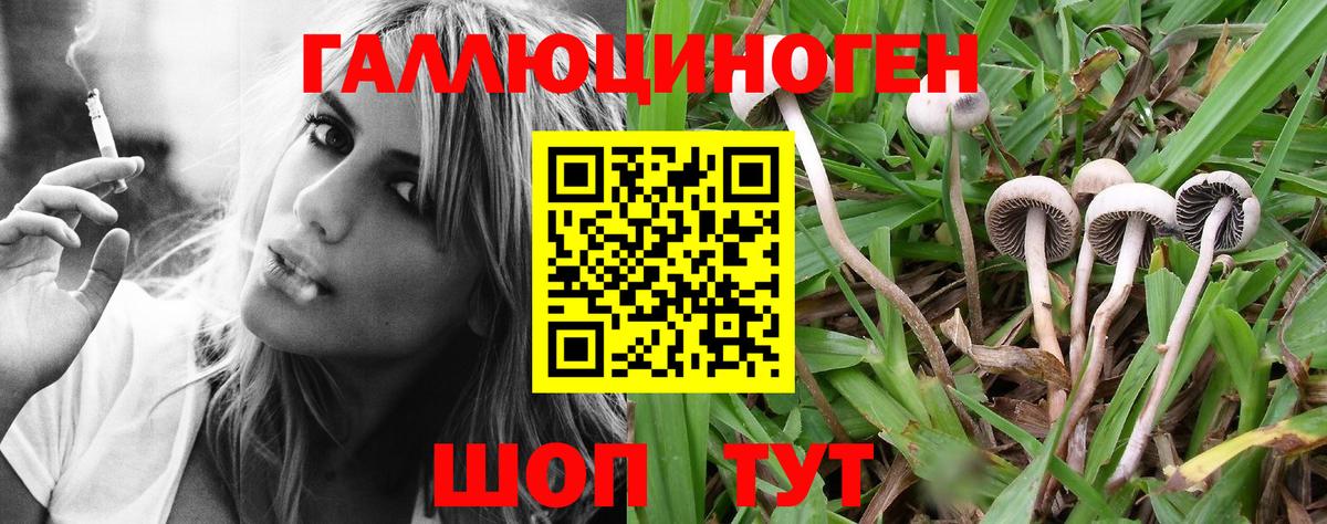 купить  сайты  Вход с VPN  Чистополь  Псилоцибиновые грибы мухоморы 