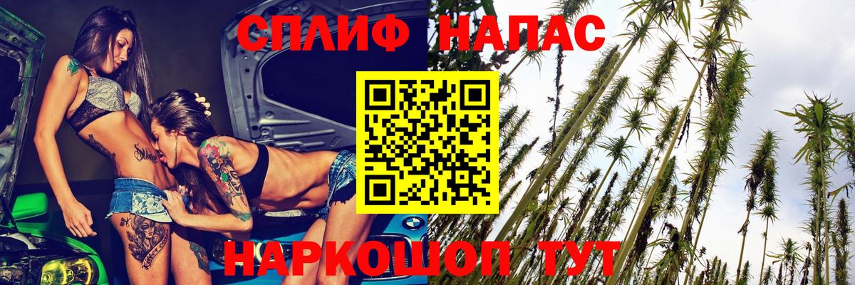 Бошки Шишки VHQ Чистополь